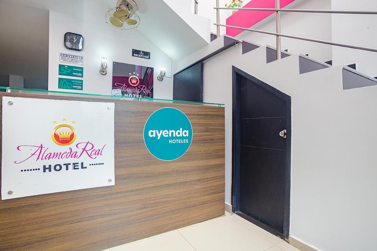 Ayenda Alameda Real Hotel Montería Exterior foto
